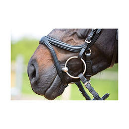 Kieffer Trensenzaum Ultrasoft Tara aus Leder für Warmblut in Schwarz Braun oder Silber – Bild 1 von 5