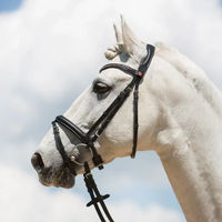 Produktbild von Kieffer Ultrasoft Fashion Trensenzaum für Warmblut in verschiedenen Farben