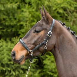 Kieffer Ultrasoft Leder-Stallhalfter für Warmblut in Schwarz – Bild 1 von 5