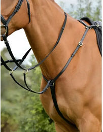 Kincade Brustblatt mit Martingal Classic aus Leder für Ponys in Schwarz – Bild 1 von 5