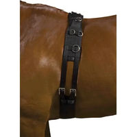 Produktbild von Kincade Deluxe Longierbedarf für Ponys in Schwarz