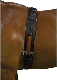 Produktbild von Kincade Deluxe Longierbedarf für Vollblut Pferde Schwarz