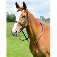 Produktbild von Kincade Flaches Zaumzeug mit Zügeln Classic aus Leder für Ponys in Schwarz
