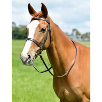 Produktbild von Kincade Flaches Zaumzeug mit Zügeln Classic aus Leder in Braun für Pferde Warmblut