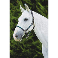 Produktbild von Kincade Leder Halfter mit Seil für Ponys in Blau