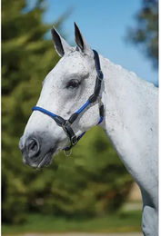 Kincade Leder Kopfhalfter Rope Head Collar Blau für Vollblut Pferde - 1 Stk. – Bild 1 von 9