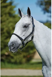 Produktbild von Kincade Lederhalfter für Ponys in Schwarz