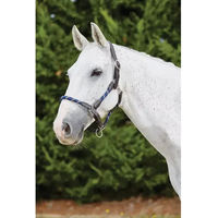 Produktbild von Kincade Lederseil Halfter für Ponys in Marineblau und Braun