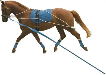 Kincade Longierbedarf Surfix für Pferde Training System Einheitsgröße – Bild 1 von 2
