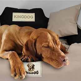 KING DOG Hundekorb und Katzenbett mit zwei Kissen aus wasserdichtem PVC-Material Schwarz 145x115cm XXL für Riesenrassen – Bild 1 von 4