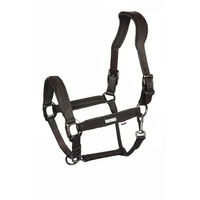 Produktbild von Kingsland Halfter KLNeville aus Leder in Braun