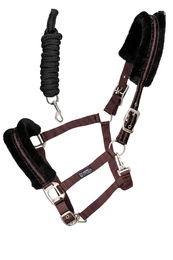 Produktbild von Kingsland Halfter Set KLBlanca Purple Flint in Lila und Schwarz