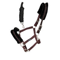 Produktbild von Kingsland Halfter Set KLBlanca Purple Flint in Lila und Schwarz