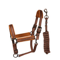 Produktbild von Kingsland Halfter und Strick Set KLMona Argan Oil Braun