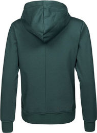 Produktbild von Kingsland KLgibson Hoodie Unisex aus Baumwolle Grün XS