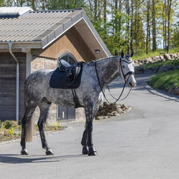 Kingsland KLLexie Gamaschen aus Kunstleder in Weiß Größe XL – Bild 1 von 3
