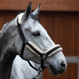 Kingsland KLLexie Halfter mit Kunstfell und Strick für Warmblut Pferde – Bild 1 von 3