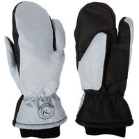 Produktbild von Kingsland KLMaurice Winter Reithandschuhe Farbe Quarry Größe S