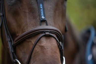 Kingsland KLMaxine Fliegenohren aus Mesh und Neopren für Warmblut Pferde – Bild 1 von 3