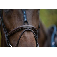 Produktbild von Kingsland KLMaxine Fliegenohren aus Mesh und Neopren für Warmblut Pferde