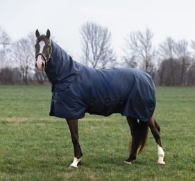 Produktbild von Kingsland KLMindy Weidedecke für Pferde aus Polyester in Blau