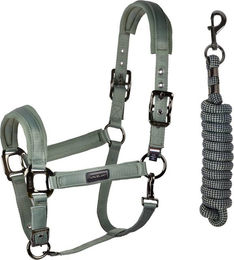 Kingsland Nylonhalfter mit Führstrick KLLucca FS 2026 Green Agave Größe Full – Bild 1 von 1