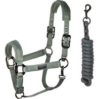Produktbild von Kingsland Nylonhalfter mit Führstrick KLLucca FS 2026 Green Agave Größe Full
