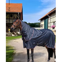 Produktbild von Kingsland Outdoordecke Classic 200g Pferdedecke aus Polyester in Schwarz