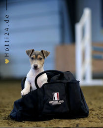 Produktbild von Kingsland Sporttasche KLClassic aus Polyester in Blau Schwarz 40 x 25 x 30 cm