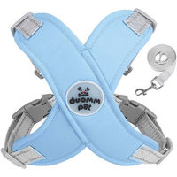 Produktbild von KINSI Hundegeschirr mit Leine Blau Reflektierendes Brustgeschirr für Hunde 6-10 kg