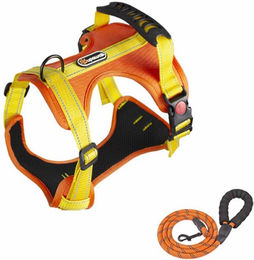 KINSI Hundegeschirr mit Leine Reflektierend Orange Verstellbar 45-55 cm – Bild 1 von 5