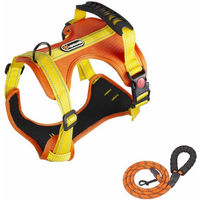 Produktbild von KINSI Hundegeschirr mit Leine Reflektierend Orange Verstellbar 45-55 cm