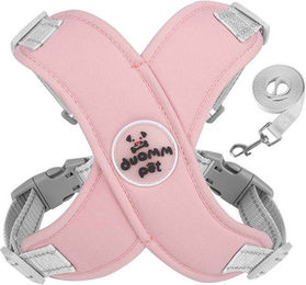 KINSI Hundegeschirr mit Leine Rosa Reflektierendes Brustgeschirr für Hunde 6-10 kg – Bild 1 von 3