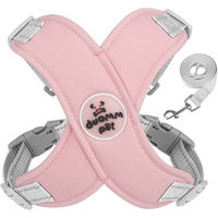 Produktbild von KINSI Hundegeschirr mit Leine Rosa Reflektierendes Brustgeschirr für Hunde 6-10 kg