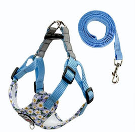KINSI Hundegeschirr Set mit Leine aus Baumwolle für Welpen und kleine bis mittlere Hunde in Blau oder Bunt – Bild 1 von 2