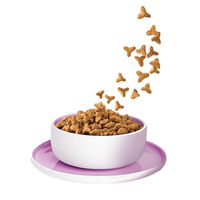 Produktbild von KITTY Cat Trockenfutter für Katzen Adult Truthahn Sterilised 3 kg getreidefrei mit hohem Fleischanteil