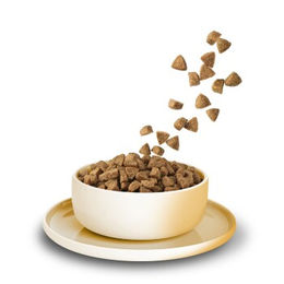 Produktbild von KittyCat Trockenfutter für Katzen Adult Huhn