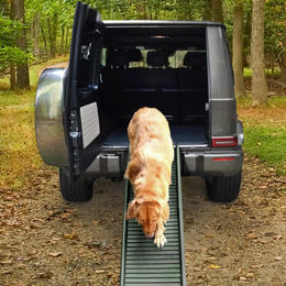 Klappbare Auto Hunderampe Einstieghilfe Anti Rutsch in Grün 155x40cm für bis zu 90kg – Bild 1 von 7