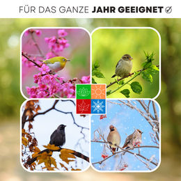 KLASEBO Meisenknödel Premium mit Insekten für Wildvögel 100 x 90 Gramm - 100 x 90 g – Bild 1 von 11