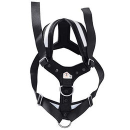 Kleinmetall Allsafe Sicherheitsgeschirr für Hunde aus Nylon Schwarz Größe XL – Bild 1 von 2