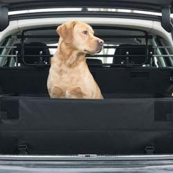 Kleinmetall Flexprotectbox Hundetransportbox für den Kofferraum XL Schwarz aus wasserabweisendem Oxford-Gewebe – Bild 1 von 10