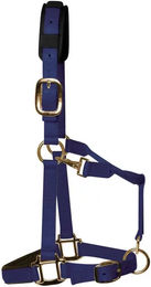 Produktbild von KM Elite Nylonhalfter für Pferde Blau Vollblut