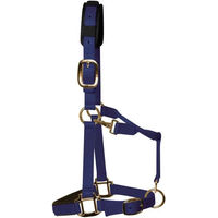 Produktbild von KM Elite Nylonhalfter für Pferde Blau Vollblut