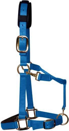 Produktbild von KM Elite Nylonhalfter für Ponys in Blau