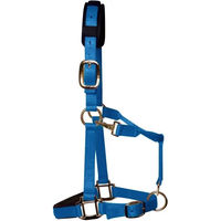 Produktbild von KM Elite Nylonhalfter für Ponys in Blau