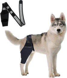 Kniebandage für Hunde Hinterbein Schutz bei Kreuzbandriss in Blau oder Schwarz für erwachsene Hunde – Bild 1 von 5