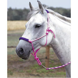Produktbild von Knotenhalfter-Set TWO-TONE für Warmblut Pferde in Pink und Lila aus Stoff