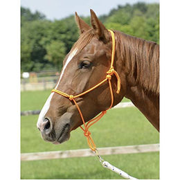 Produktbild von Knotenhalfter SMOOTH II für Shetty in Orange