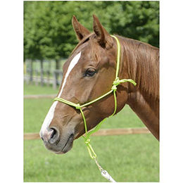 Produktbild von Knotenhalfter SMOOTH II für Warmblut in Grün