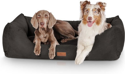 Knuffelwuff Hundebett Dreamline aus Velours XXL Schwarz allergikerfreundlich – Bild 1 von 4